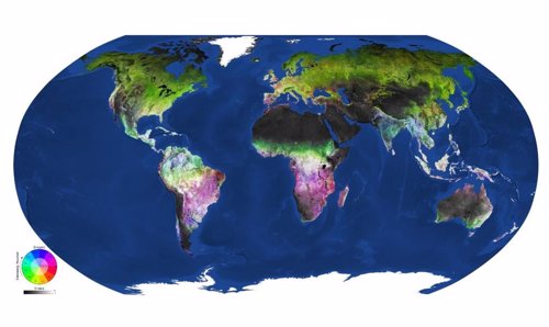 El cambio de vegetación estacional global, a 23.000 millones de píxeles