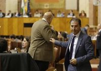 El Parlamento insta a la Junta a cumplir la Ley de Memoria con el único rechazo de Vox