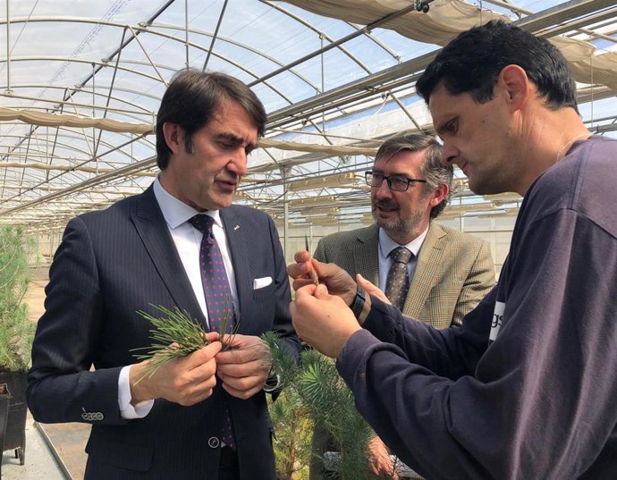 El Vivero Forestal Central produjo 1,5 millones de plantas en la última campaña,