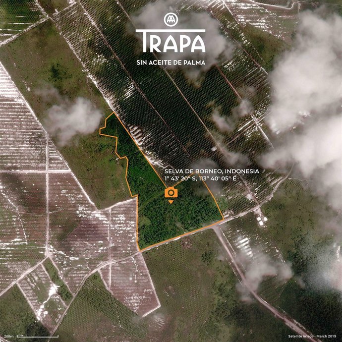 Trapa para la deforestación de una zona de selva de Indonesia amenazada por las 