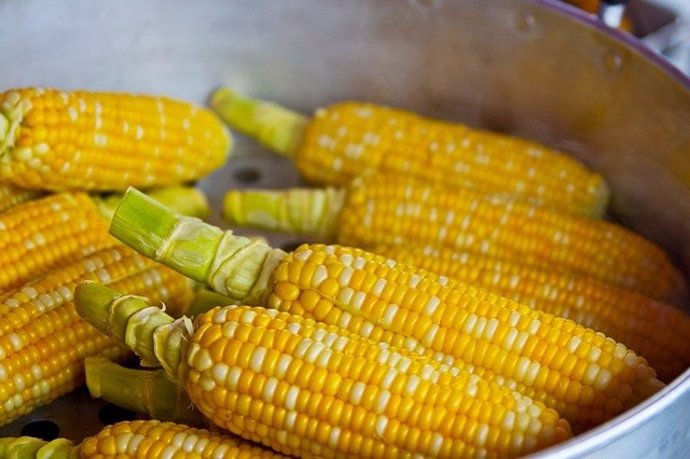 EEUU.- El jarabe de maíz rico en fructosa estimula el crecimiento de tumores int