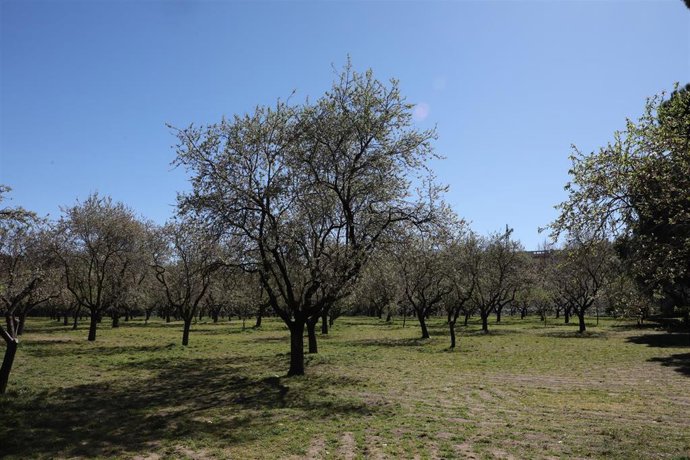 Falta una semana para el inicio de la primavera