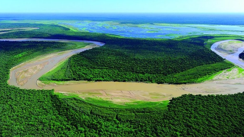 La Destrucción De El Gran Chaco El Segundo Pulmón Verde De Sudamérica