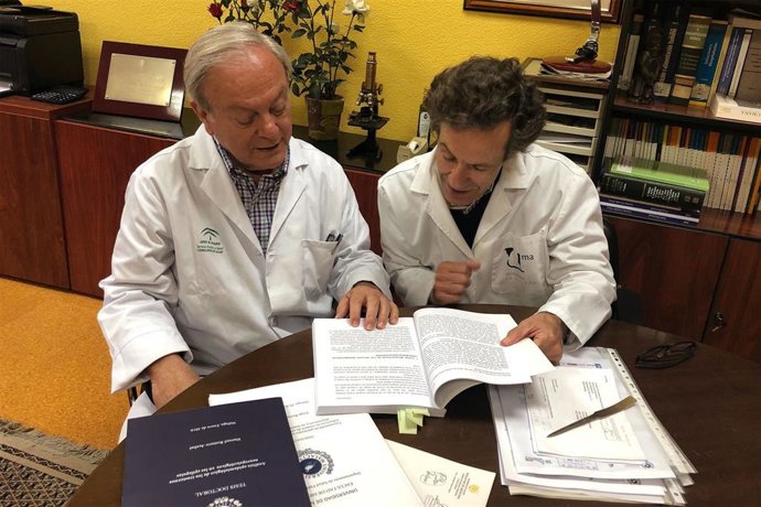 Málaga.- Expertos aseguran que la epilepsia es una enfermedad que se puede curar