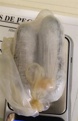 Castellón.- Sucesos.- Detenida una mujer por intentar introducir 53 gramos de ha