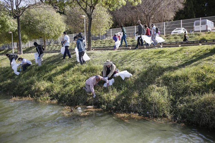 Sevilla.- Más de cincuenta voluntarios participan en la limpieza del Guadalquivi
