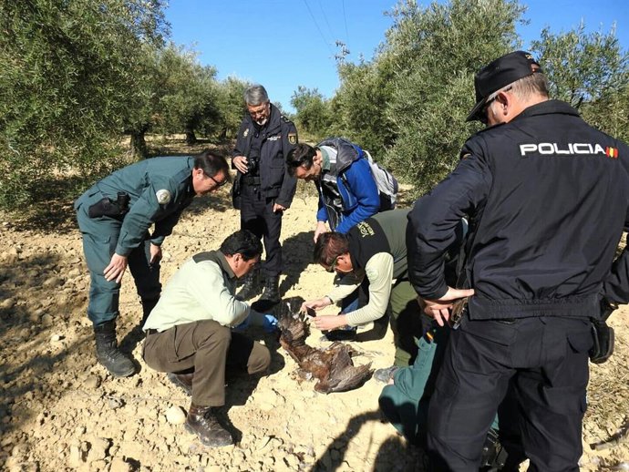 Córdoba.- La Policía autonómica participa en la Estrategia Andaluza contra el Ve