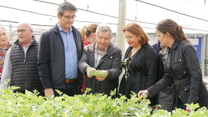 Almería.- Crespo agiliza ayudas para arreglo de caminos por 2,5 millones benefic