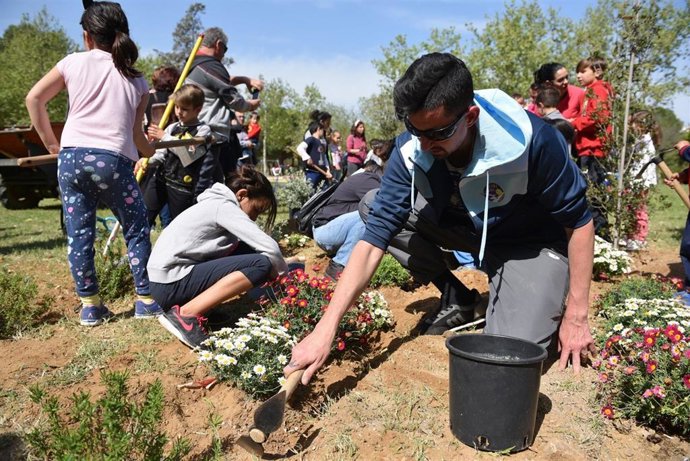 Sevilla.- El Parque Amate acoge la plantación de más de cien árboles, arbustos y