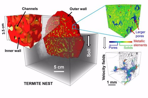 Rayos X 3D revelan la intrincada climatización de los nidos de termitas