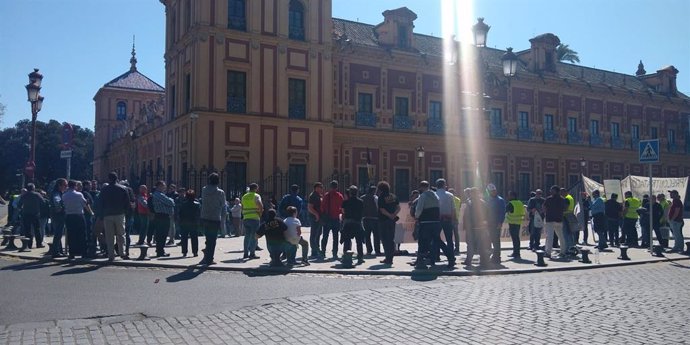 Sevilla.- Los taxistas se concentran ante San Telmo en demanda de avances en la 