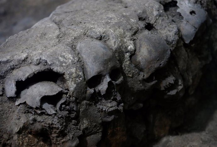 Skulls are seen at a site where more than 650 skulls caked in lime and thousands