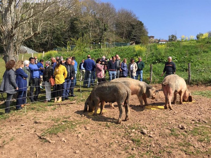 Rural.- El sello '100 raza autóctona', el mejor aval para luchar contra el fraud