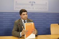 Enrique Moreno, diputado de Cs, presidente de la comisión de la Faffe con apoyo del PP-A y abstención del PSOE-A
