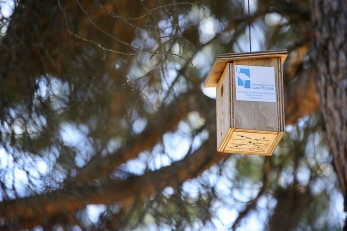 Científicos descubren cómo la diversidad de árboles afecta a las plagas forestal