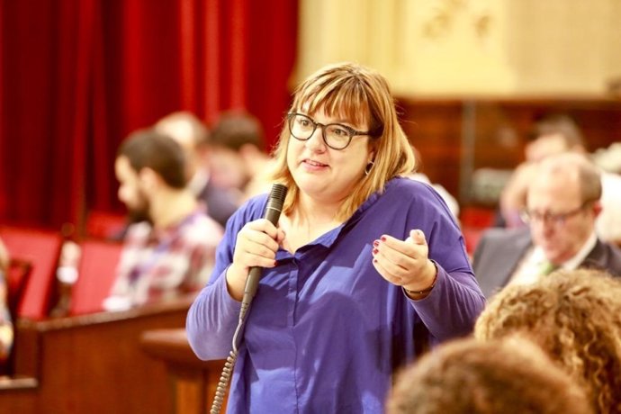 AMP.-Busquets pregunta al PP "quin Govern pretenen ser si no són capaos ni de d