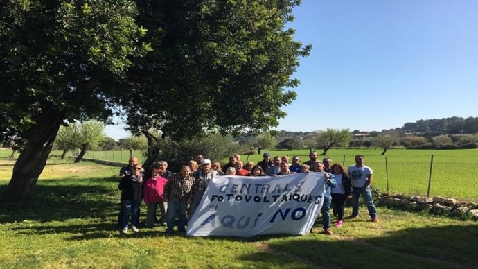 El GOB demana una planificació territorial clara per a la implantació "racional"