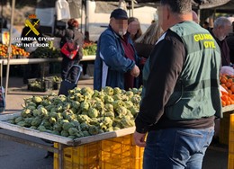 Guardia Civil decomisa media tonelada de alcachofa