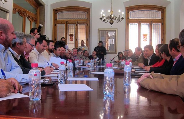 Jaén.- MásJaén.- El Consejo Provincial del Aceite de Oliva estudia medidas para 