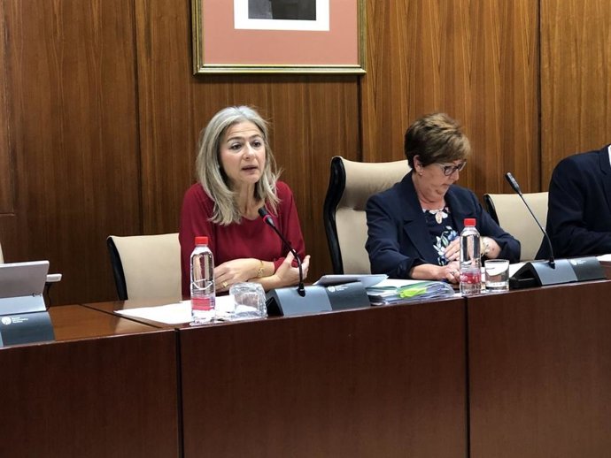 Del Pozo apuesta por "reorganizar" la Agencia de Instituciones Culturales para "