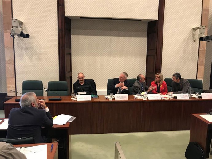 28A.- El Director De l'Oficina De Drets Civils I Polítics Equipara Els Llaos A 