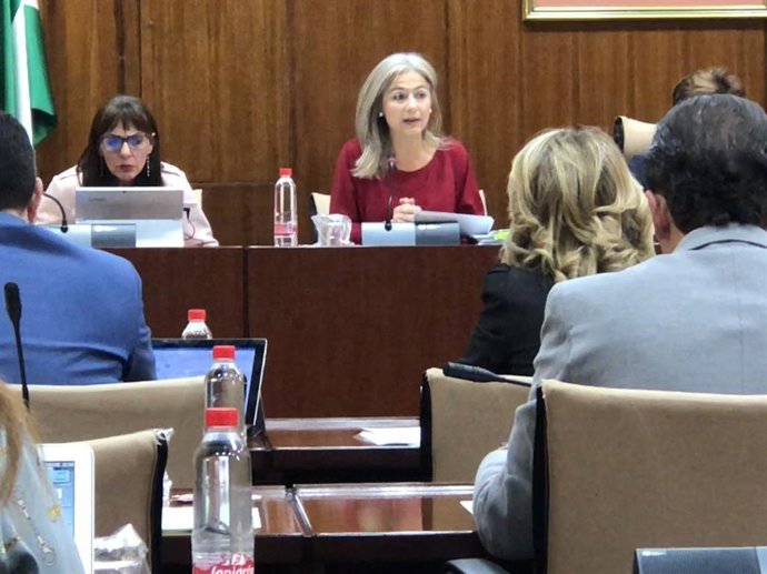 Del Pozo lamenta que el anterior gobierno "no presentó en cinco años ni un solo 