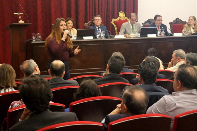 Sevilla.- Susana Serrano critica el "cortoplacismo" del PP y Cs con el Plan 2030
