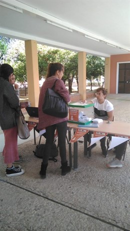 Sevilla.- Estudiantes de la UPO niegan incidencias en la consulta sobre la Monar