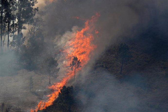 Portugal.- Cientos de bomberos luchan para contener los incendios forestales en 