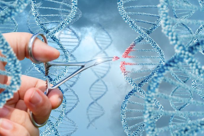 Lo que las herramientas 'CRISPR' de edición génica pueden hacer por nuestra salu