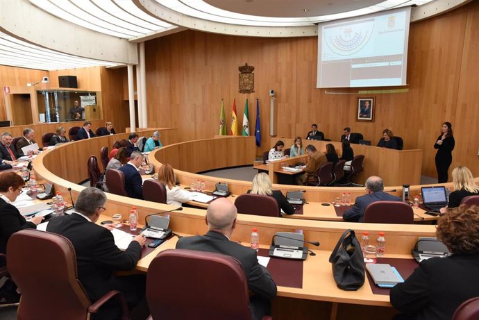 Granada.- Diputación aprueba su presupuesto para 2019, que supera los 253,4 mill