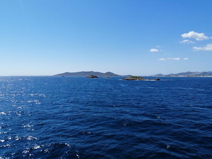 La campanya de seguiment de peixos en la Reserva Marina d'És Freus constata la 