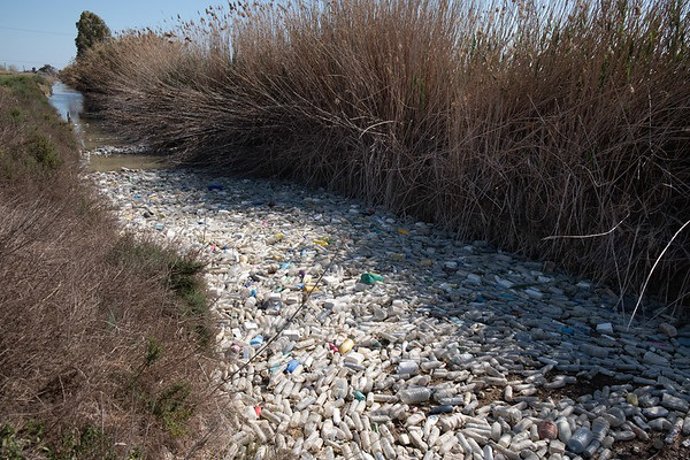 Greenpeace aplaude la prohibición del plástico de un solo uso pero exige al próx