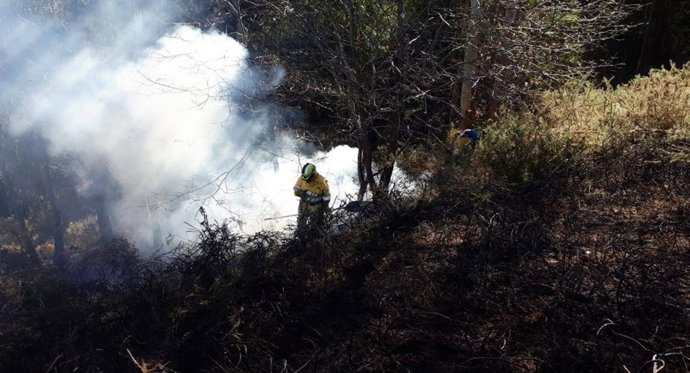 Cuatro incendios activos en Cantabria de los diez provocados desde ayer