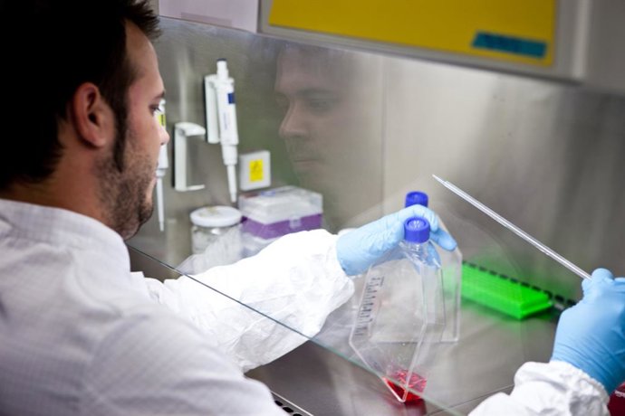 Andalusia participa en un projecte europeu sobre nous abordatges de la Síndrome 