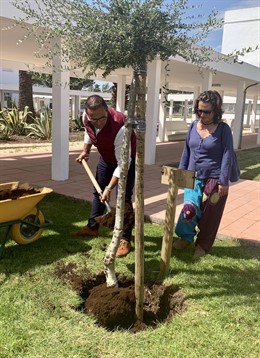 [Grupohuelva] Nota De Prensa Y Fotos De Hoy, 29 De Marzo, Plantación Acebuche