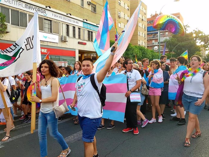 Los ayuntamientos de Sevilla y Cádiz izarán la bandera 'trans' en el Día Interna