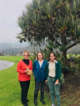 El Jardín Canario y la ULPGC logran usar plantas invasoras para generar fibras i