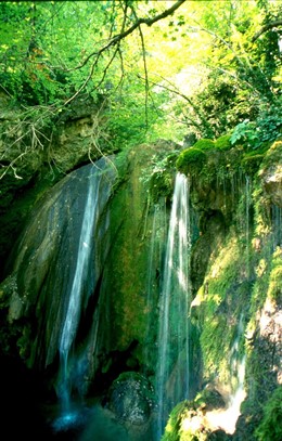 Medio Ambiente refuerza la protección de la Reserva Natural del Nacedero del Ure
