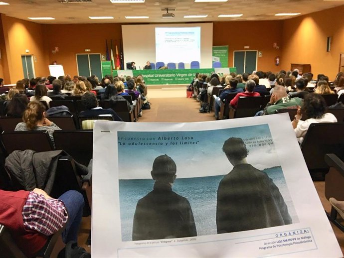 Profesionales De Salud Mental De Andalucía De Reúnen En El Clínico De Málaga Par