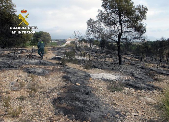 Guardia Civil investiga al presunto autor del incendio de cerca de cuatro hectár