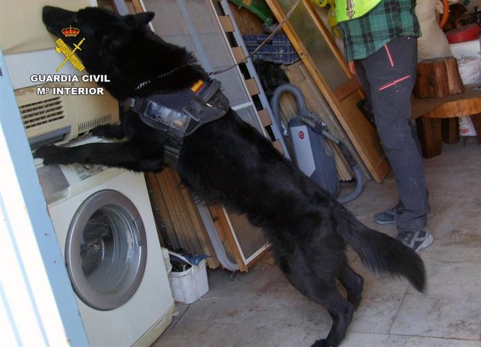 Guardia Civil desmantela un punto de venta de droga al menudeo en Cehegín