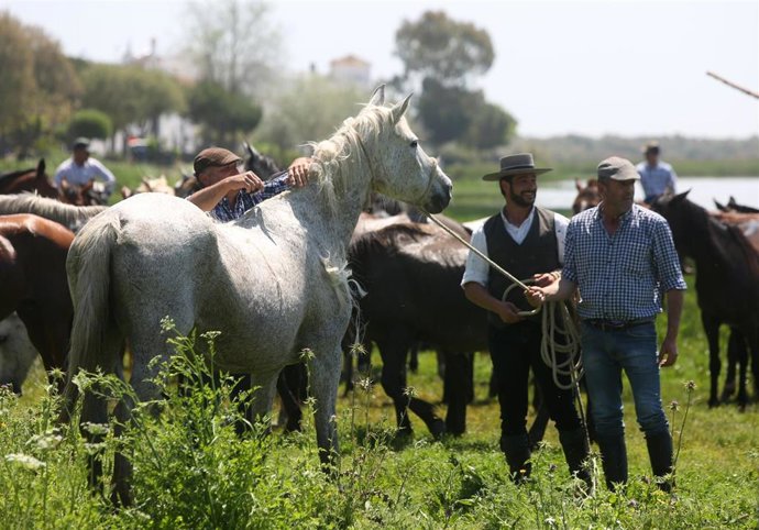 [Grupohuelva] Nota De Prensa Y Fotos De Hoy, 1 De Abril, Actividades Paralelas D