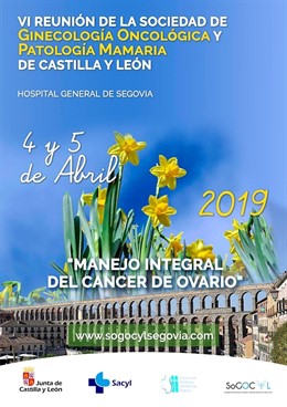 Más de un centenar de profesionales se reunirán este fin de semana en Segovia pa