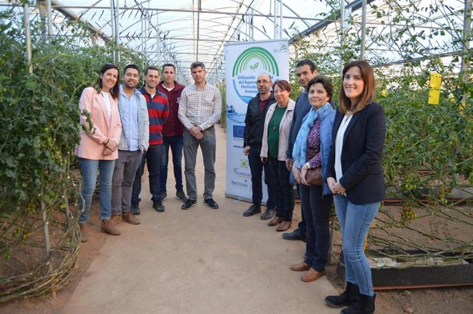 Granada.- Investigan sistemas de riego más eficientes en cultivo de tomate cherr