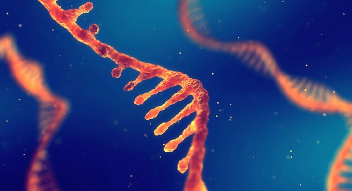Los primeros seres vivos en la Tierra pudieron usar tanto ARN como ADN