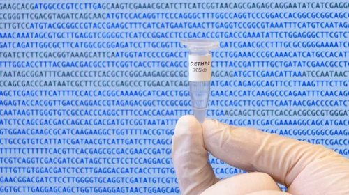 Primer genoma recompuesto al completo con un algoritmo de computadora