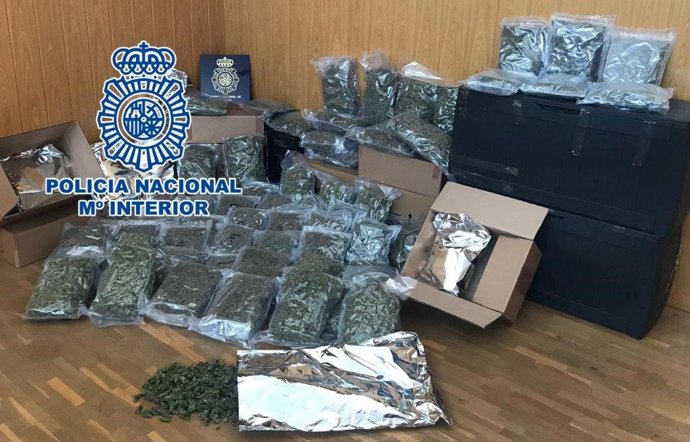 Drogas localizadas en Elche.