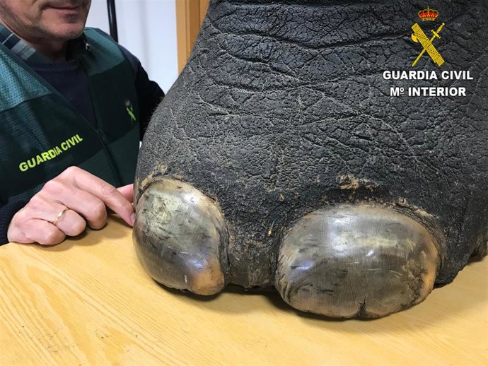 GUARDIA CIVIL ELEFANTE