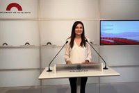 Cs celebra que el TC ampare sus derechos frente a los plenos del 6 y 7 de septiembre